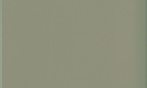 NCS S 4005-Y20R NCS S 4005-Y20R