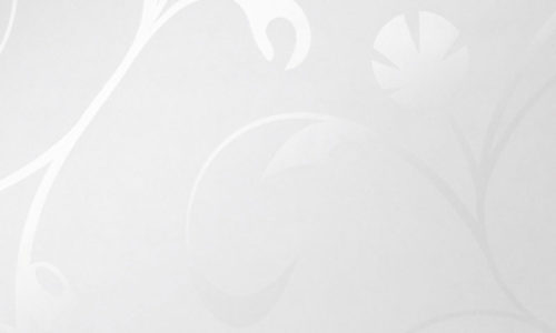 1354 Fiora 1354 Fiora