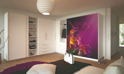 Framo_Dressing_faces_en_verre_avec_d+®cor Framo_Dressing_faces_en_verre_avec_d+®cor