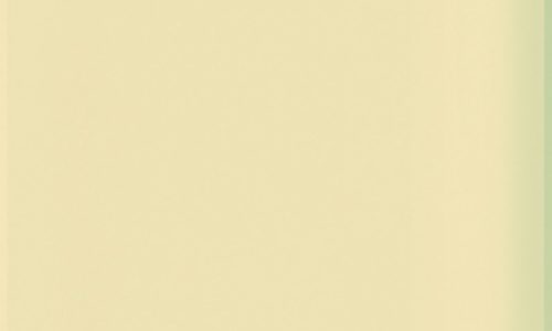 NCS S 0505-Y20R NCS S 0505-Y20R